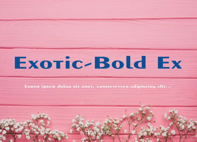Exotic-Bold Ex example